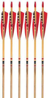 3River Carbon Arrows