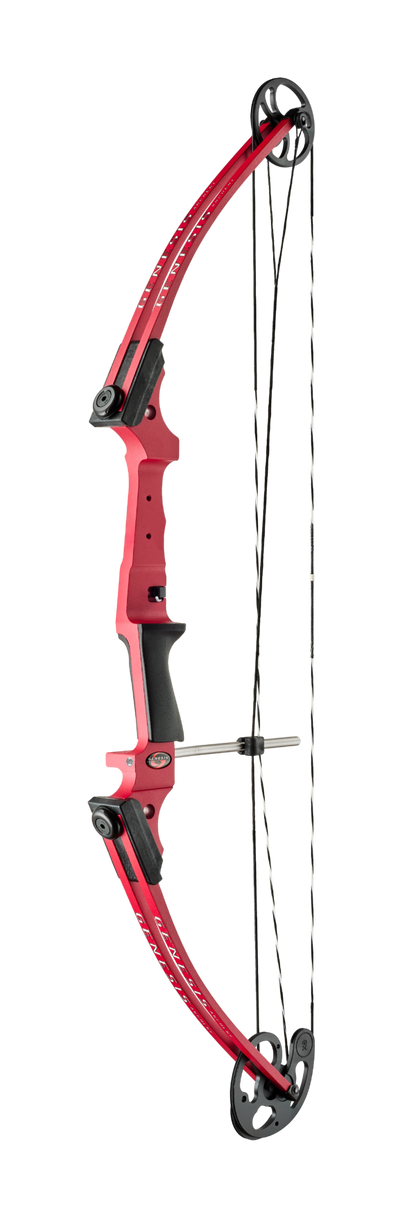 Genesis Bow