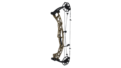 Hoyt AX-3